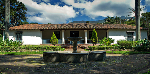 Quinta Anauco